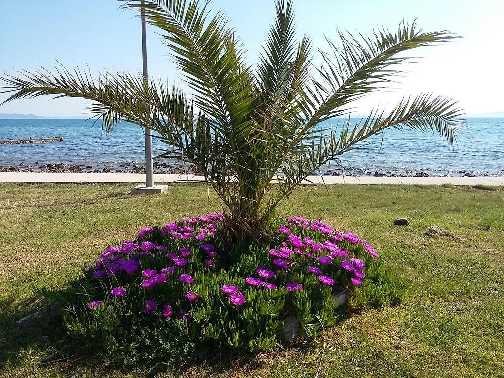 Apartments Soldinn Privlaka  Croatia