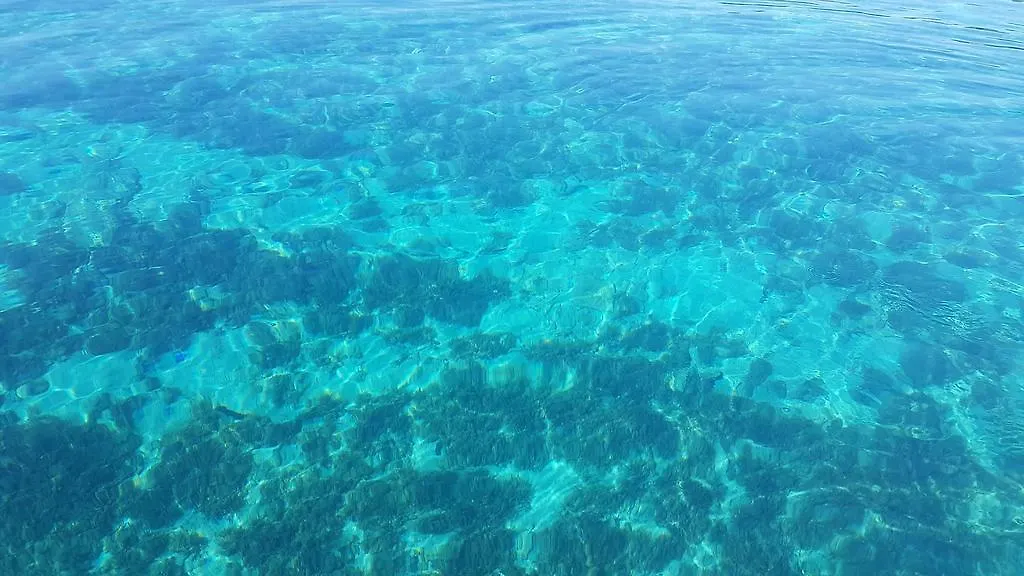 Apartments Soldinn Privlaka  Croatia